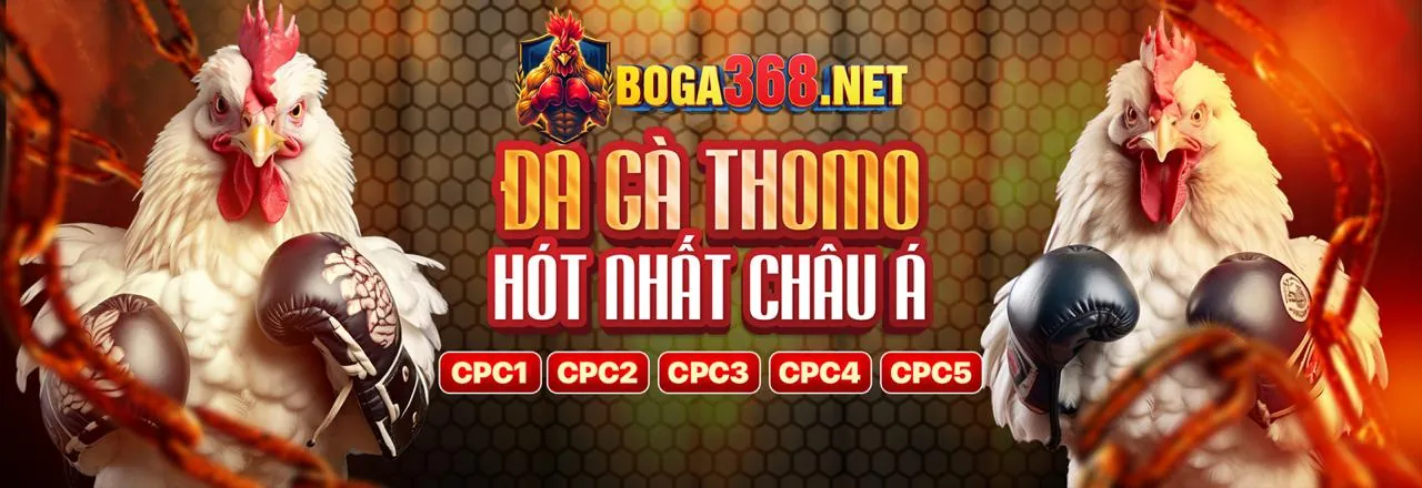 Bảo mật dữ liệu và quyền riêng tư trên nền tảng 00hu88