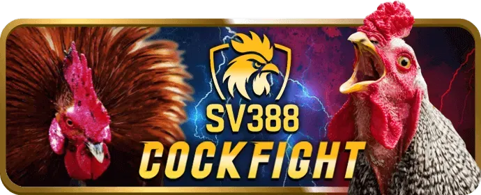 Sự kiện đặc biệt và giải đấu 00hu88